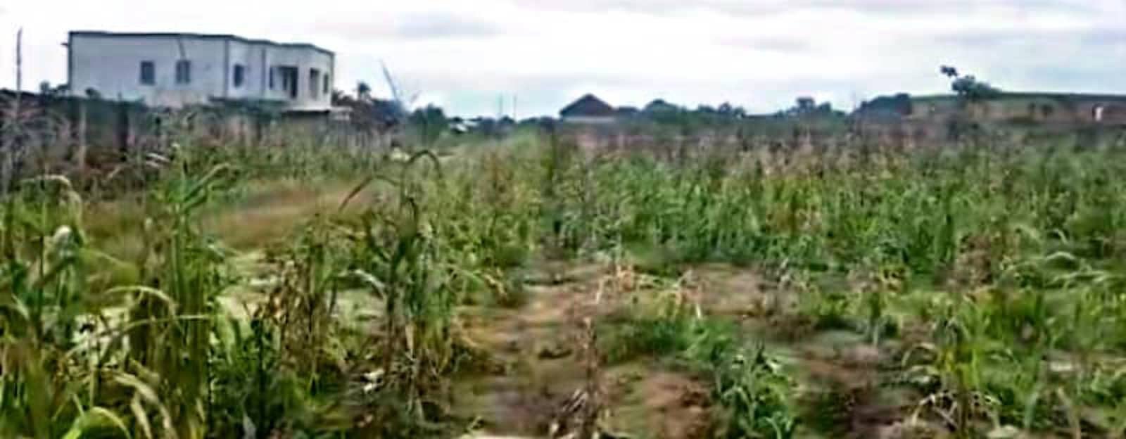 1045sqms land at Block E in Osongama Estate for sale